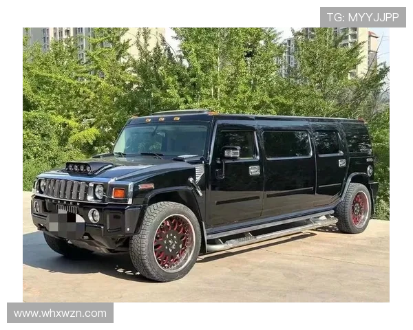 10米的加长悍马，内部可供10人在开小型Part,简直嗨翻了